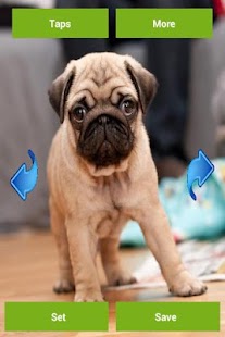 How to install Pugs Wallpapers 1.8.0 apk for bluestacks