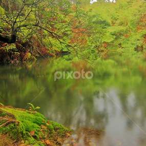 Sebuah mata air gunung by Alfi Nurulhida - Novices Only Landscapes