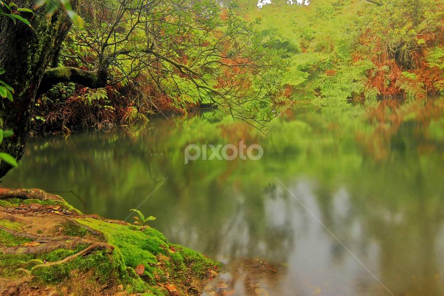 Sebuah mata air gunung by Alfi Nurulhida - Novices Only Landscapes