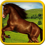 Forest Horse Jumping Apk