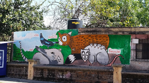 Mural Fauna Morelos