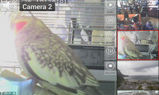 Viewer for SONY IP Cameras