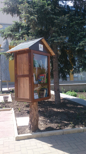 Mini Biblioteca Publica
