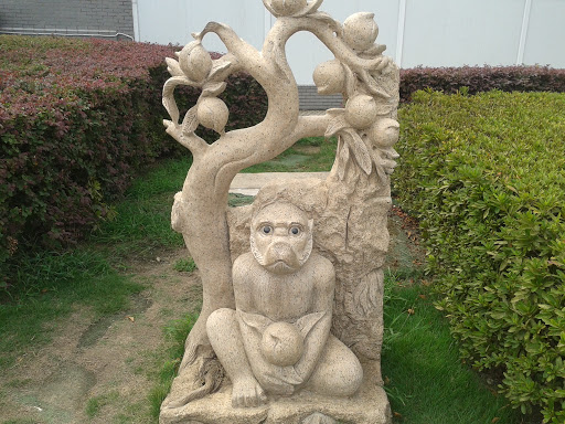 赣江市民公园-萌猴
