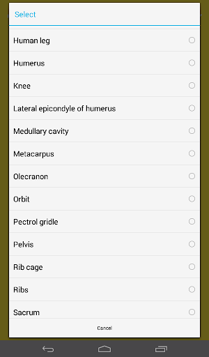 【免費教育App】Kids Human Anatomy Flashcards-APP點子