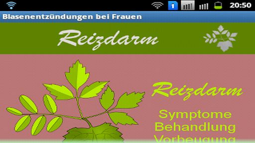 Reizdarm - Symptome Behandlung