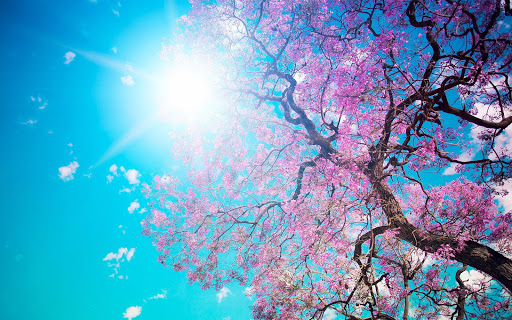 免費下載個人化APP|Spring View HD Wallpaper app開箱文|APP開箱王