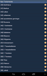 Danish Holy Bible poster 14