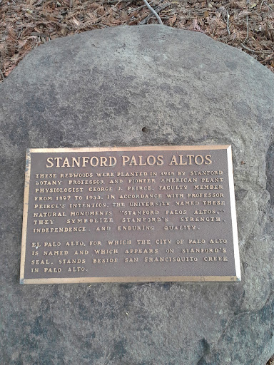 Stanford Palos Altos