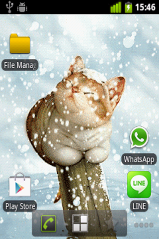 Snow Cat Live Wallpaper