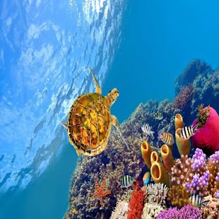 How to install Turtle Great Live Wallpapers 1.0.1 unlimited apk for bluestacks