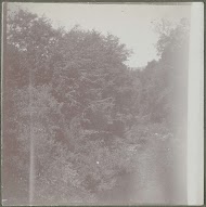 Gebouw van Pleasant Island Camp aan Cupsuptic Lake, Maine