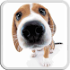 DOG LICKS SCREEN LWP FREE icon