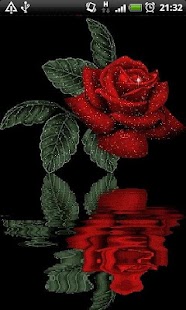 How to get Reflective Red Rose Live Wall 26 apk for android