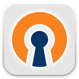 OpenVPN Settings logo