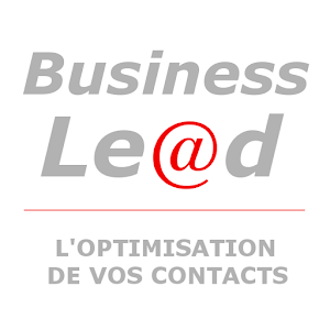 Business Lead 1.3.1