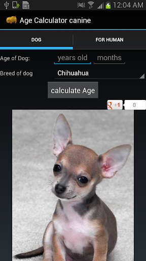 Age Calculator canine free