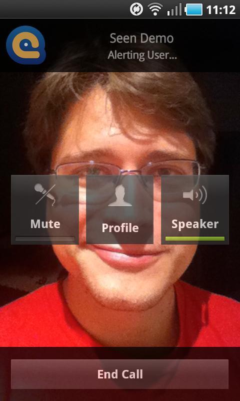 Seen: Video calls for Facebook - screenshot