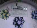 Placa Memoriala