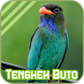 Oriental Dollarbird Apk