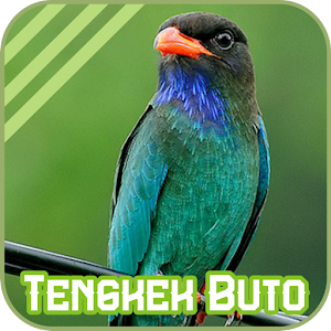 Oriental Dollarbird.apk 1.1