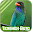 Oriental Dollarbird Download on Windows