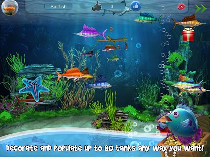 Dream Fish