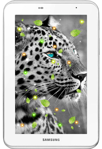 【免費個人化App】Wild Animals live wallpaper-APP點子