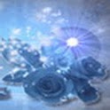 Blue Roses