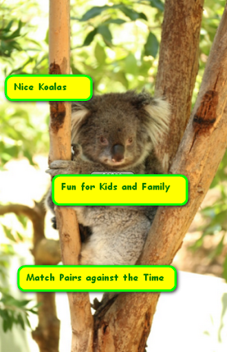 免費下載休閒APP|Free Fun Koala Game for Kids app開箱文|APP開箱王