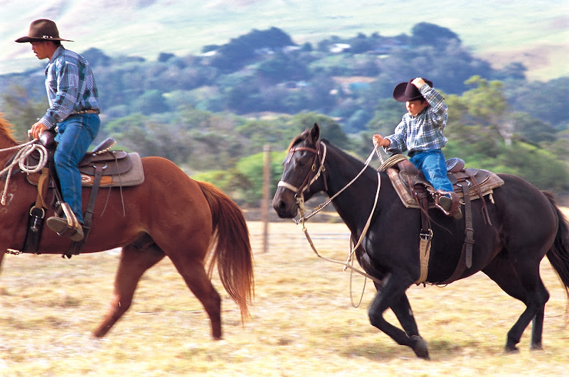 A young horseback rider in Waimea, Hawaii. Mexican cowboys, called paniolo, first came to Hawaii 170 years ago.