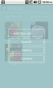 免費教育App|In Brain (Image memorization)|阿達玩APP