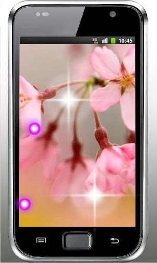 Spring Sakura 3D HD