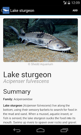 免費下載教育APP|Great Lakes Fish Finder app開箱文|APP開箱王