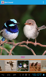 Bird Sound Screenshots 3