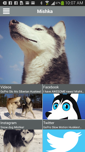 【免費娛樂App】Mishka the Talking Husky-APP點子