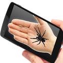 Spider On Hand Prank icon