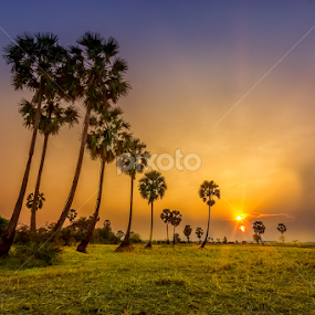 Sun trails by Liquid Lens - Landscapes Sunsets & Sunrises
