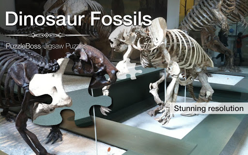 Dinosaur Fossil Jigsaws Demo