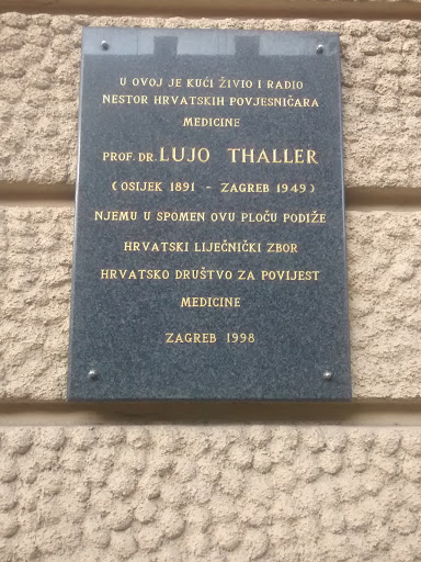 Lujo Thaller Plaque