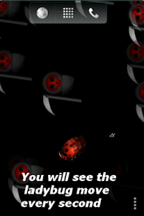 Free Lucky Ladybug APK