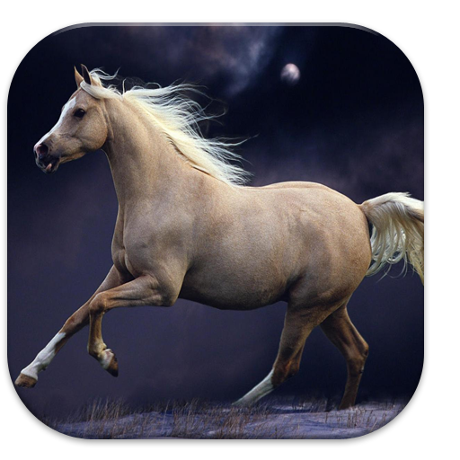 Horse Wallpapers app