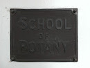 School of Botany