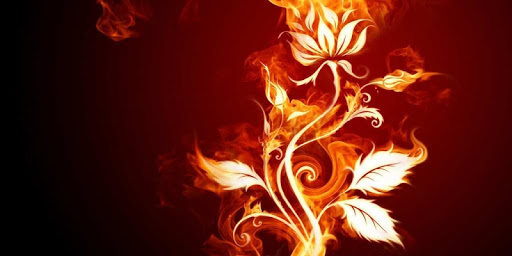 Fire Pictures live Wallpaper