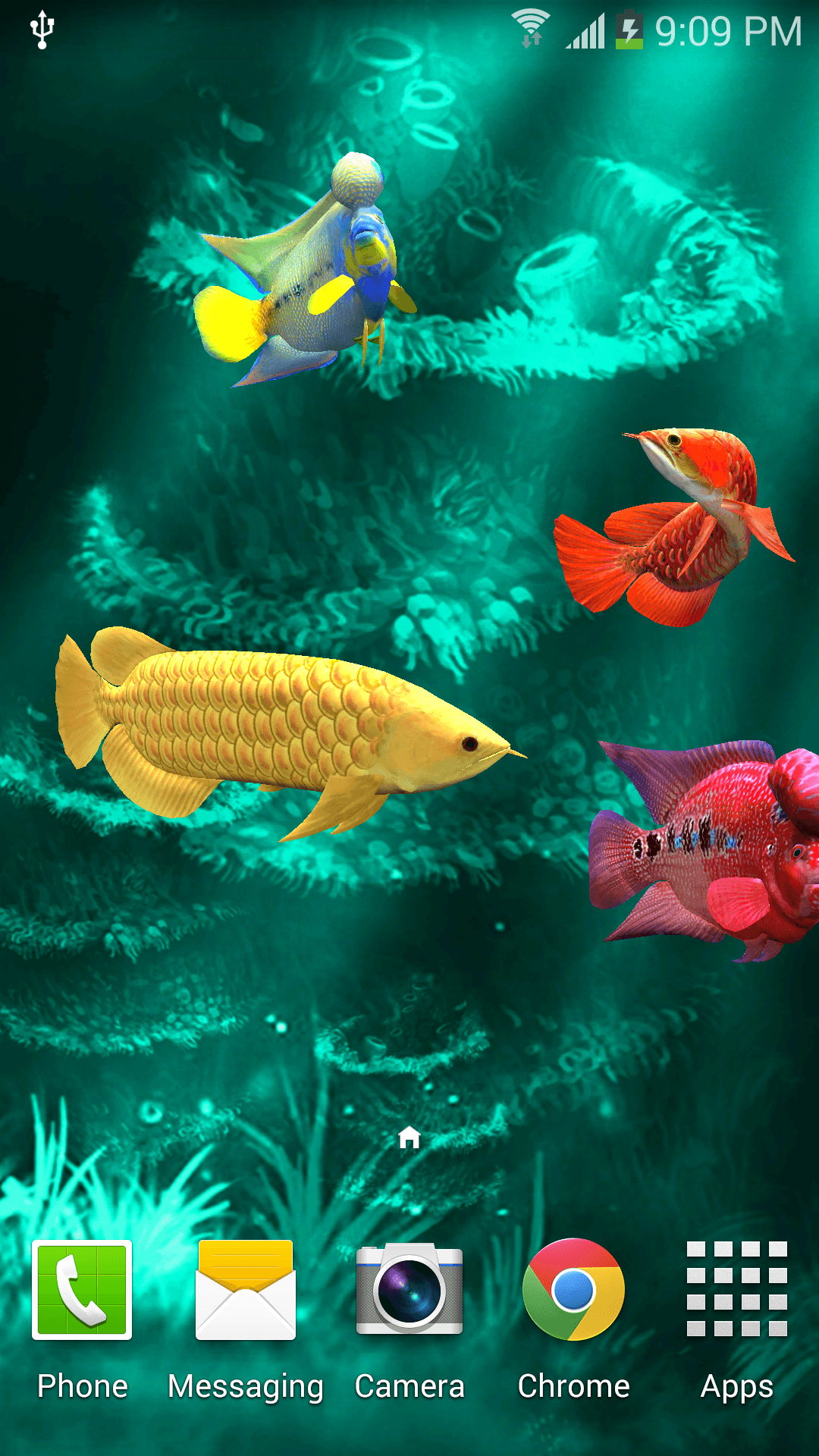 Android application Arowana 3D Pro Live Wallpaper screenshort