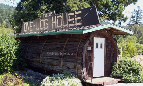 one-log-house (2)