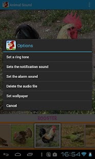 Animal Sound Screenshots 4