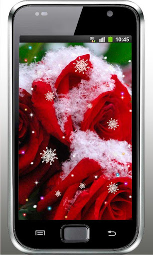 Winter Roses HD live wallpaper