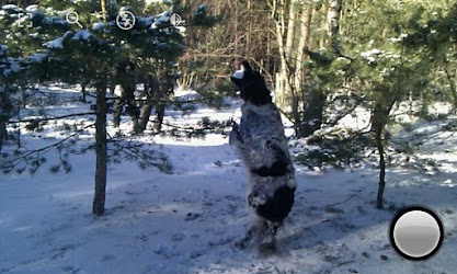 Fast Burst Camera