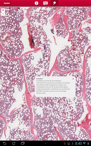 【免費醫療App】multeBook Histology-APP點子